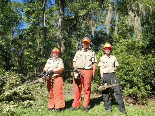 Cleanup crew at Skidaway Island State Park
