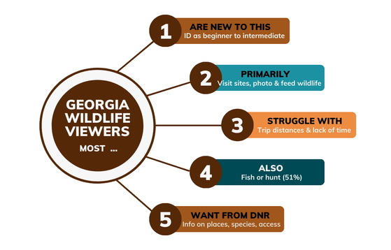 Graphic showing insights on Georgia wildlife viewers