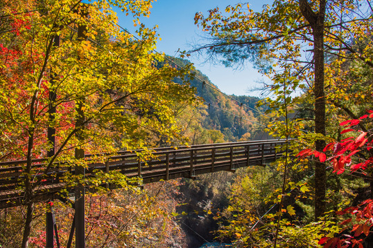 Tallulah Gorge State Park by Denise O'Rourke