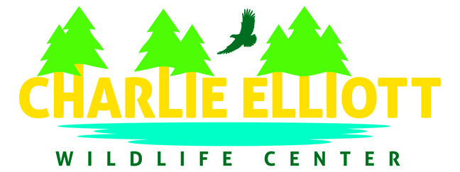 CEWC logo