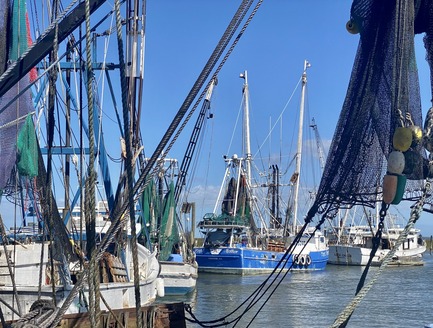 Shrimp boats on the dock