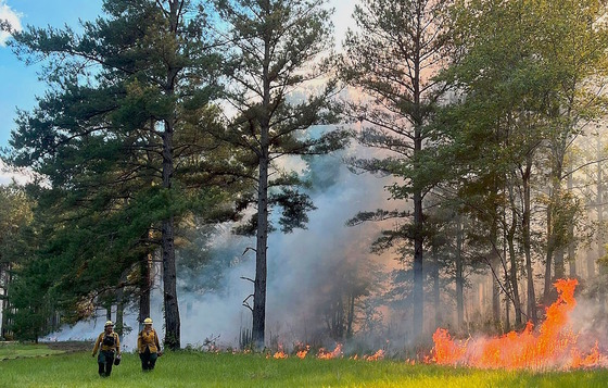 DNR staff manage prescribed burn at George L. Smith State Park this spring (Shan Cammack/DNR)