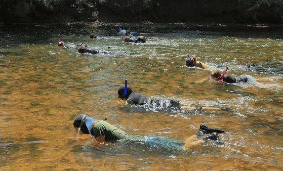 Mussel survey on the Conasauga River (Alan Cressler)