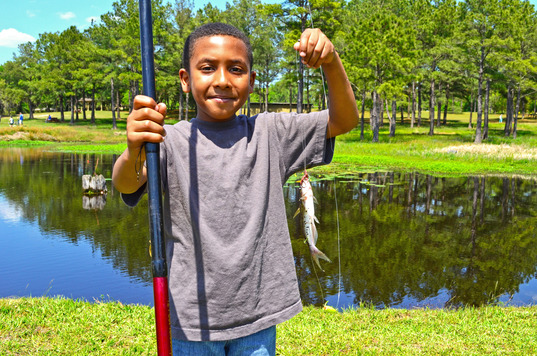 Fishing at Reed Bingham State Park