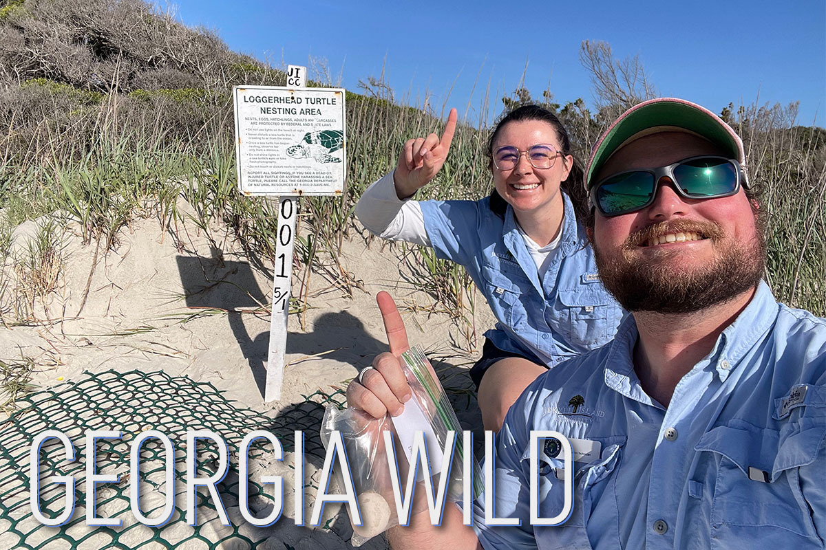 GaWild mashead: Jekyll Island's Will Hicks and Bailey Yarborough celebrate season's first sea turtle nest (Jekyll Island Authority)