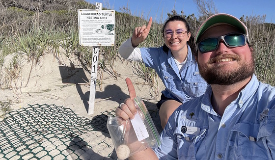 A man and woman Jekyll Island staff in blue signaling "No. 1" by sea turtle nest in white sand and green grass, covered with green protective screen
