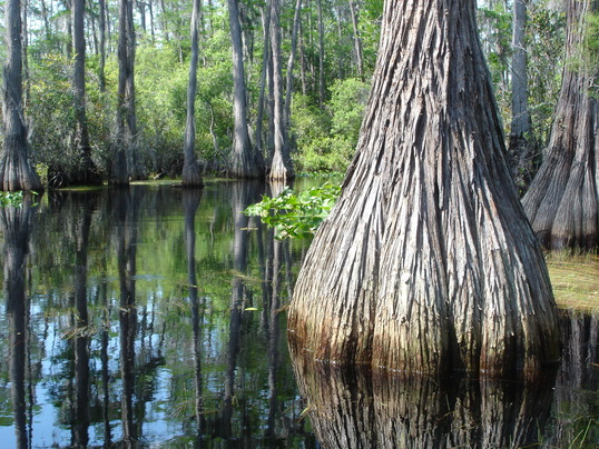 Stephen C. Foster State Park