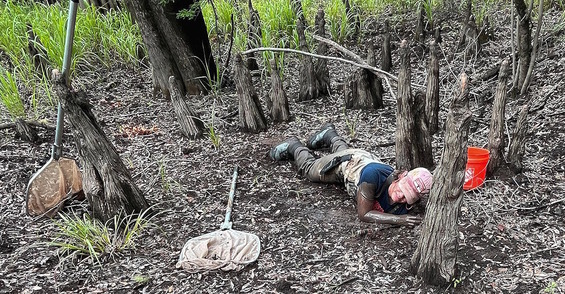 Researcher with arm deep into wetland surrounded by gray cypress knees and trees with a background fringe of green plants