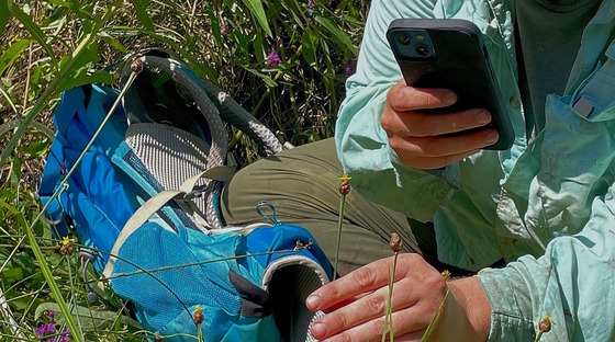 Closeup of someone dressed in blue-green colors photographing a rare grass