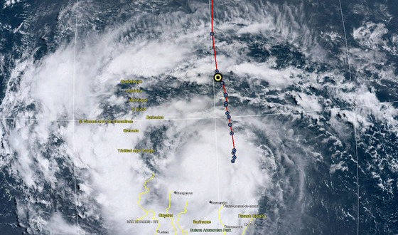 Aerial overlay of Hurricane Erin (white against blue ocean) near Lesser Antilles with red line marking bird's flight into storm