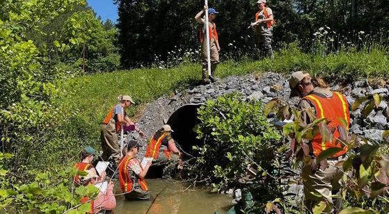 Workers in bright orange safety vests check a culvert in brown water and green foliage