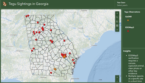 Green, light gray map showing tegu reports in Georgia