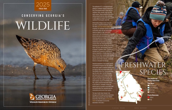 Two images, one of report cover (red knot in surf), the other of DNR staff sampling a stream