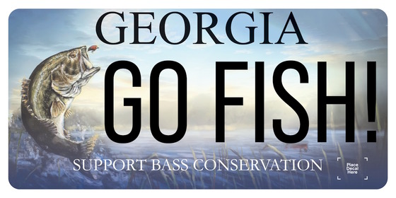 Blue, gray license plate with bass jumping out of water and the lettering Go Fish!