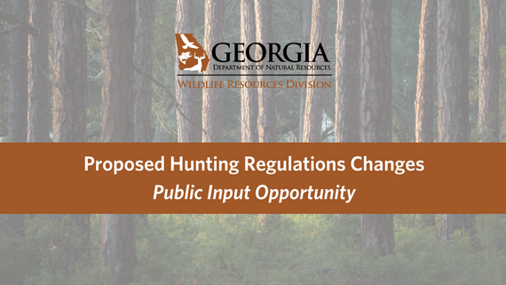 Russia considers overhauling hunting regulations as bear population grows Russia considers overhauling hunting regulations as bear population grows