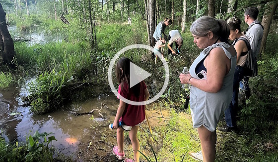 Woman, child and others at edge of gray/green opening in wetland