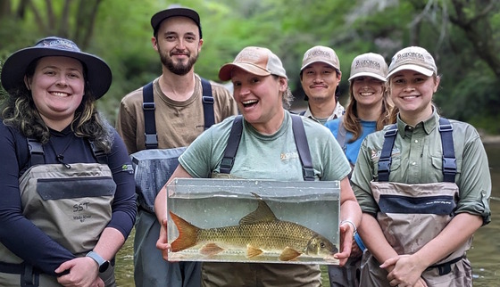 DNR staff with a sicklefin redhorse in an aquarium tank 