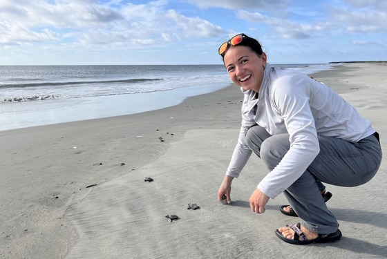 Woman on beach with hatchlings crawling over tan beach for green-blue surf