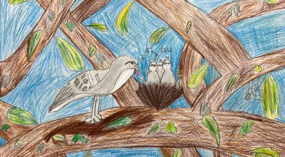 Blue and brown drawing of a bird feeding nestlings