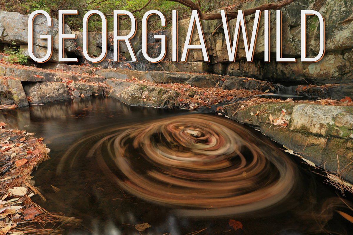 Brown swirl in dark stream water below rocky falls