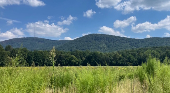 Light green field with dark green mountains and blue sky behind