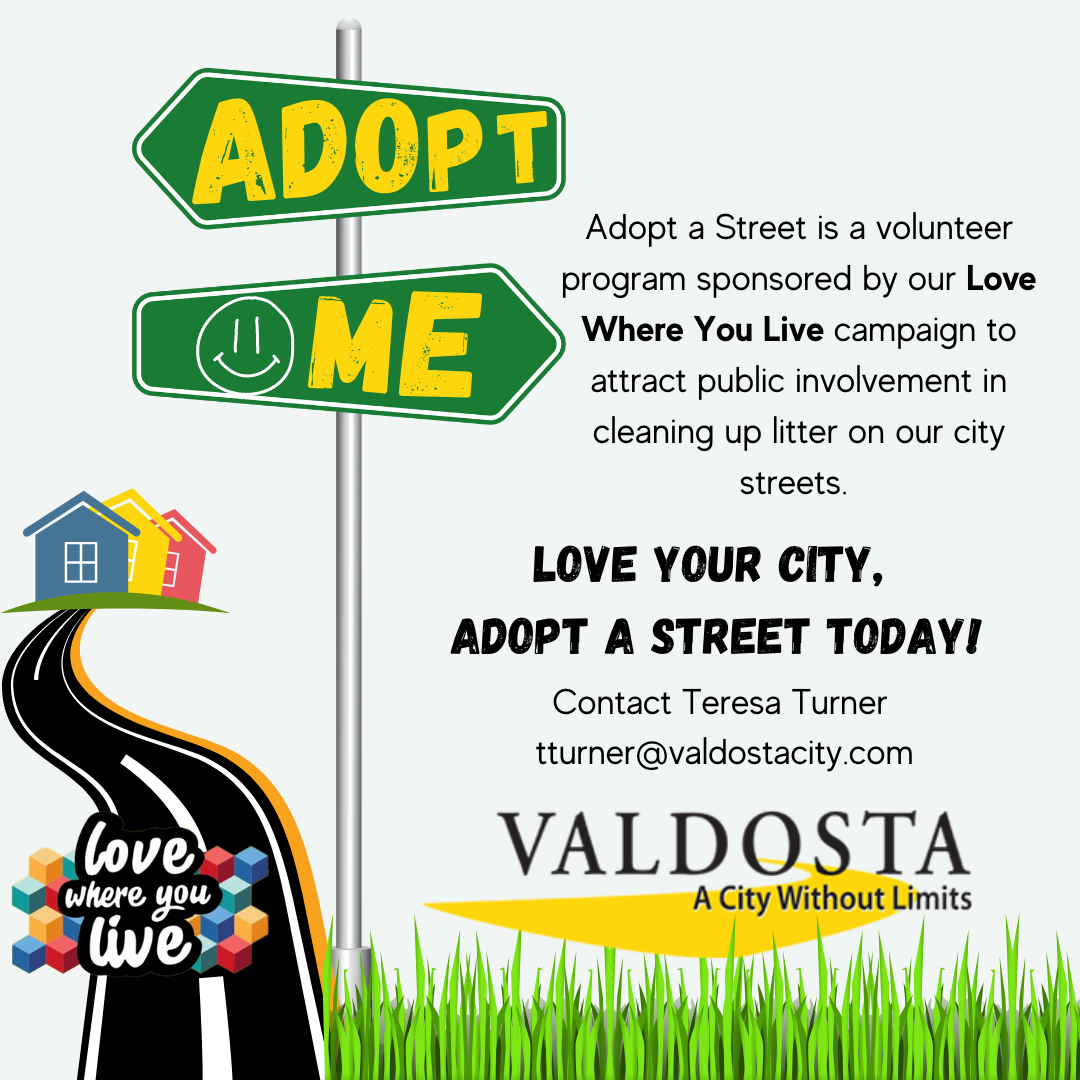 adopt a street