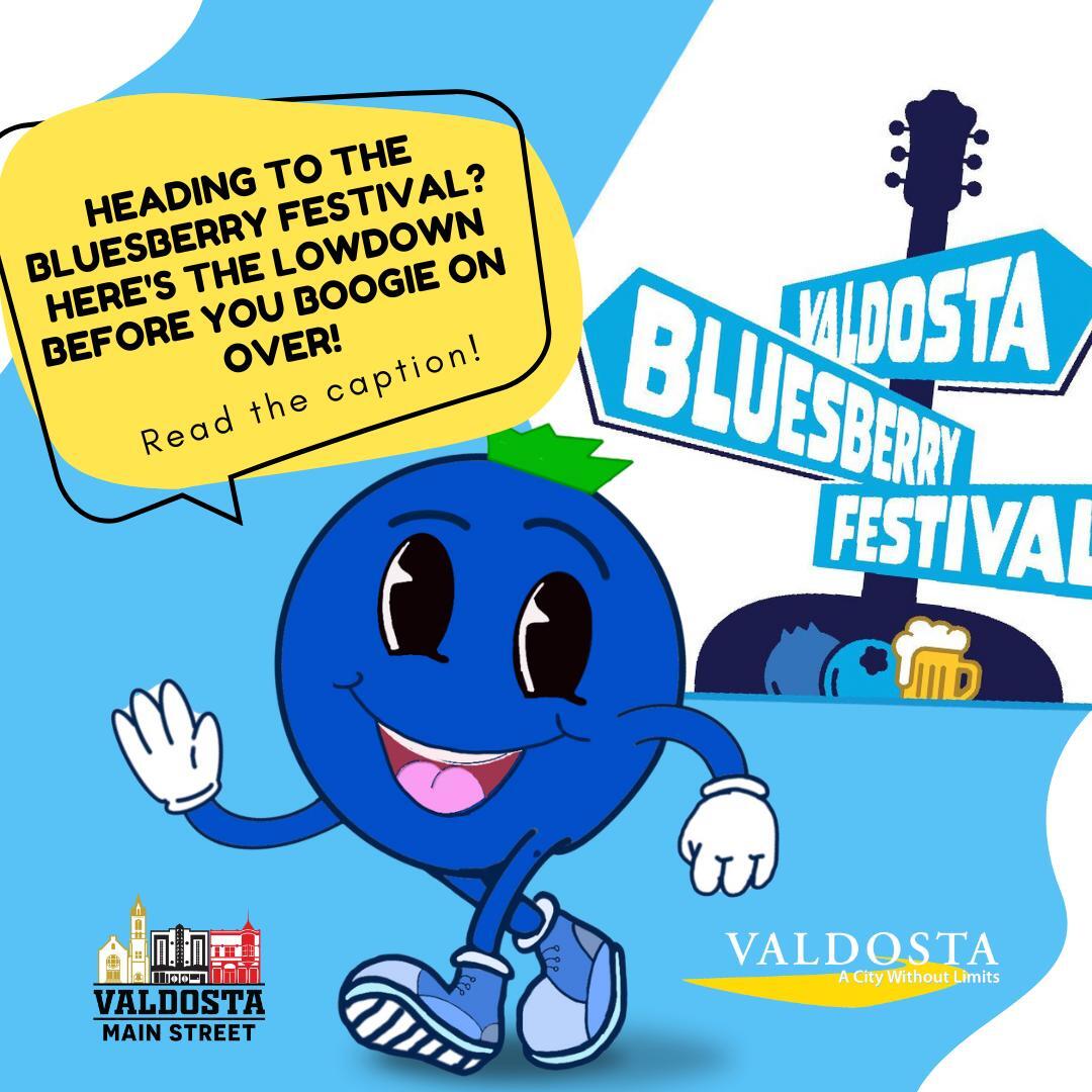 Know Before You Go Bluesberry Festival Flyer