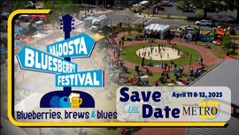 Bluesberry Save the Date Metro17 Thumbnail