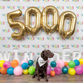5,000 followers