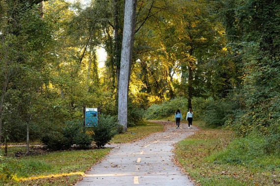 Wilkins Greenway