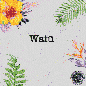Waiu - Milk