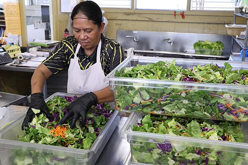 Rainbow-Salad-Kohala-HS