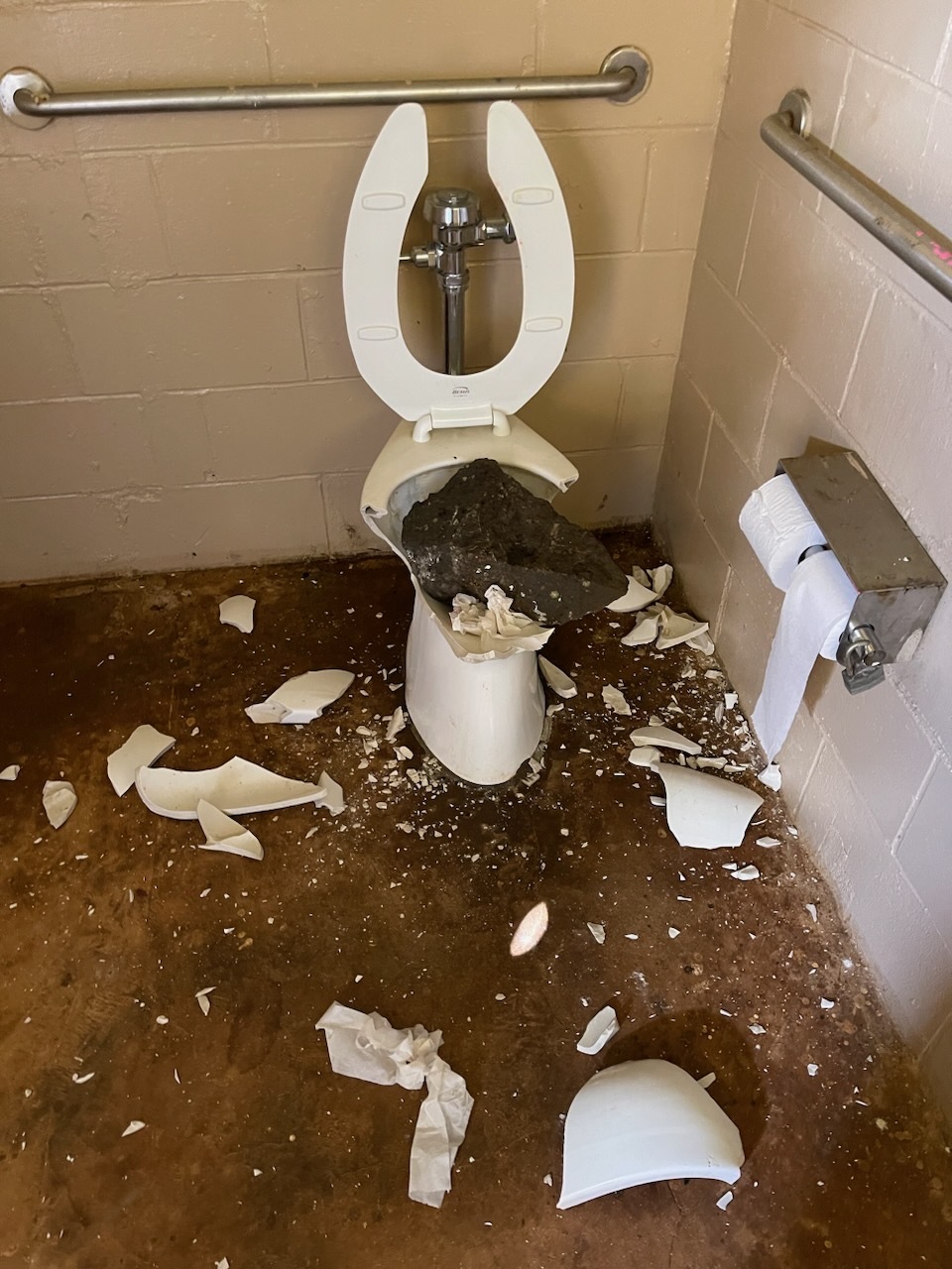 Waikomo broken toilet