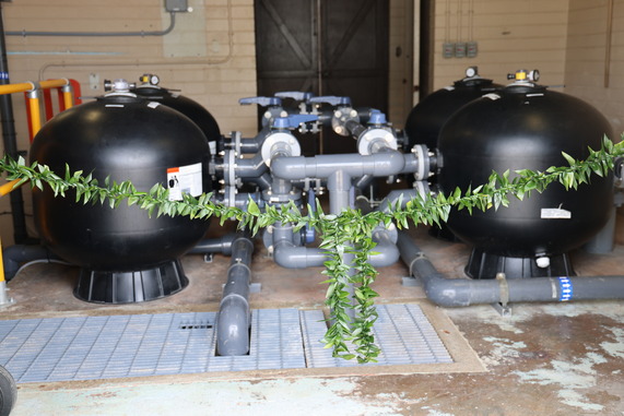 Kapaa pool filtration system