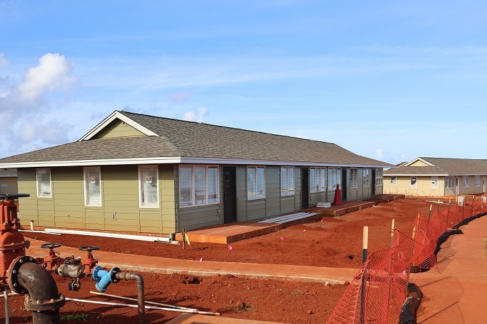 Lima ola close up image