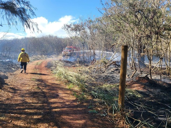 Kaua‘i Fire Department firefighters have knocked down a brush fire in Anahola near Ehukai Road.