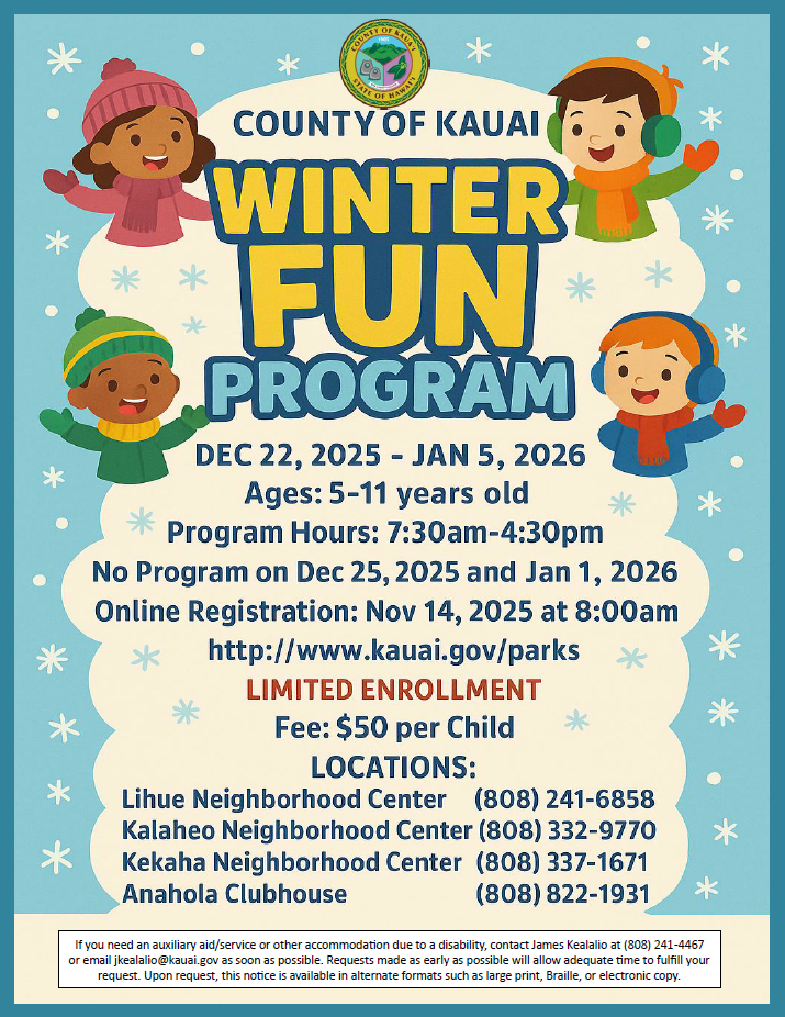 Winter Fun Program Flyer