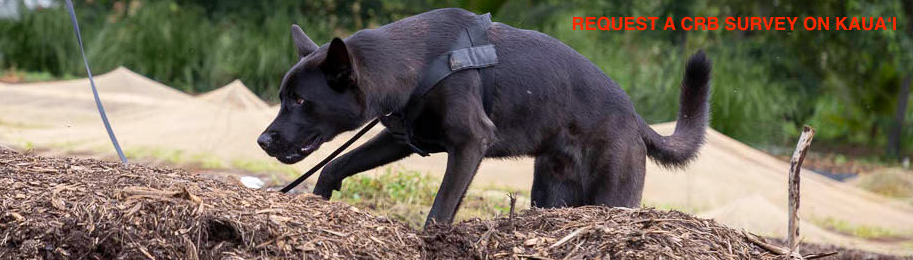 Request a CRB Survey on Kauai