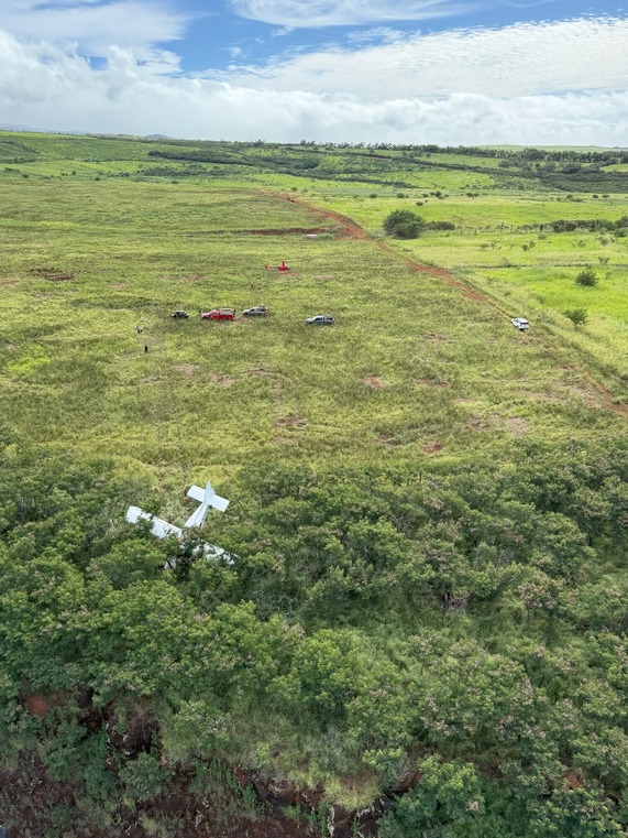 A single-engine aircraft sits in a field near Menehune Road in Waimea following an emergency landing Friday morning, Oct. 30.