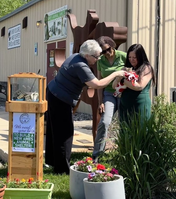 Three women looking at a kitten