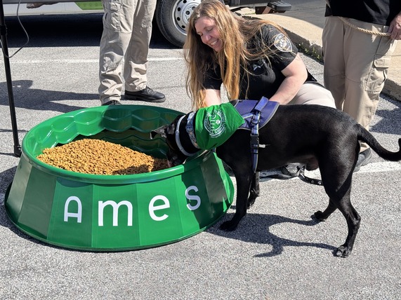 Black dog next to a big bowl of dog kibble
