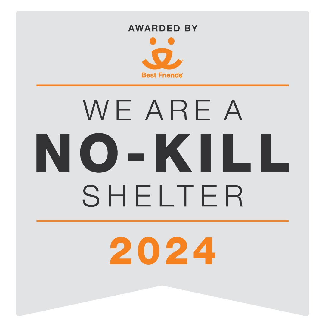 No Kill Status 2024
