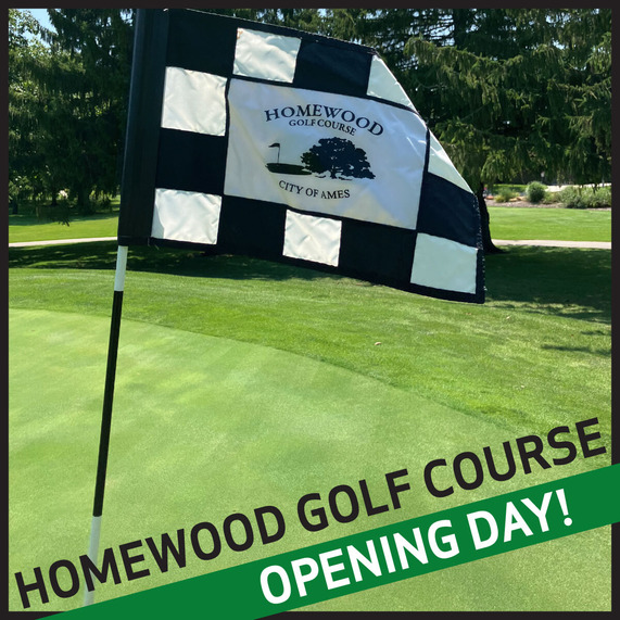 Flag on a golf course