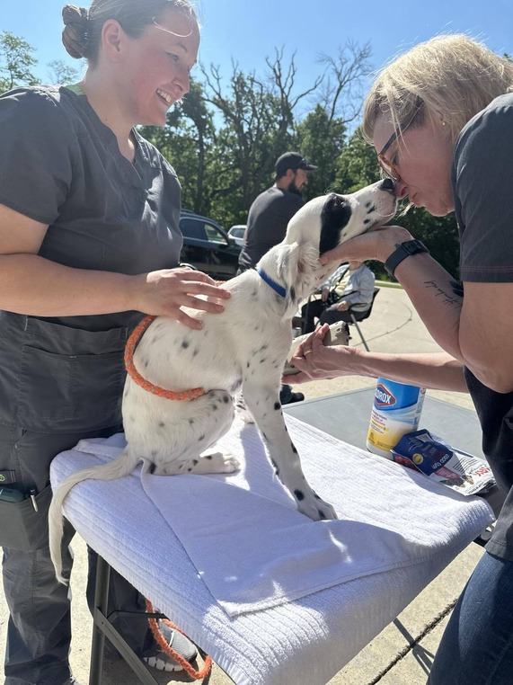 Two people with a dog at a vaccination and microchip clinic