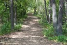nature walk