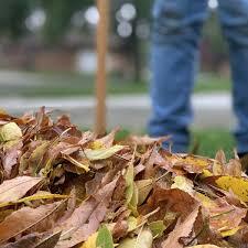 yard waste