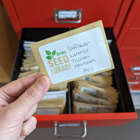 seeds