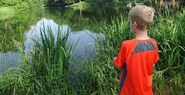 A boy fishing in the summer.
