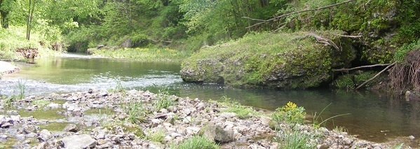 Brush Creek trout stream near Arlington.