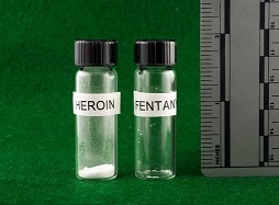 Fentanyl and Synthetic Opioid Picture